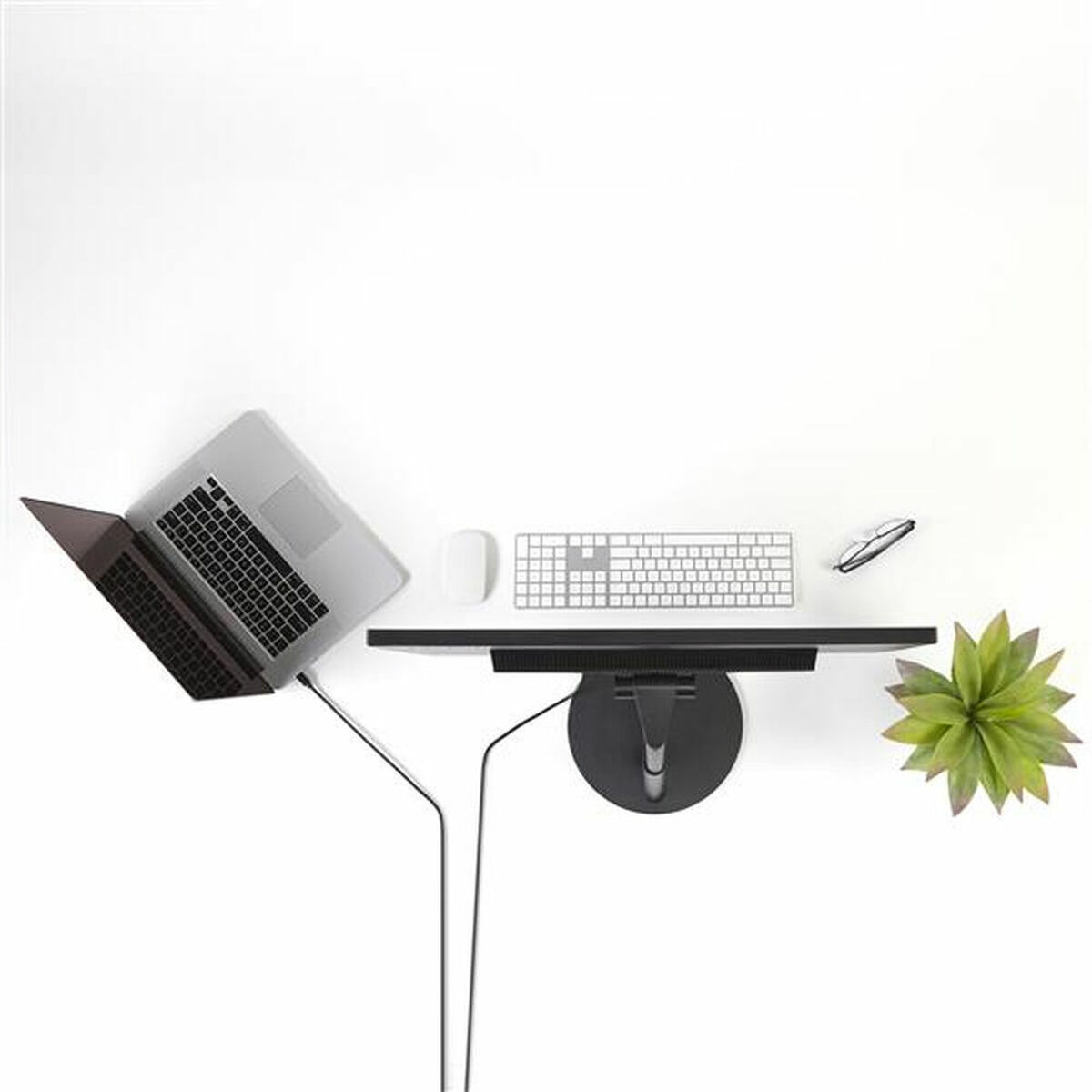 DisplayPort-kabel Startech MDP2DPMM10 3 m 4K Ultra HD Sort